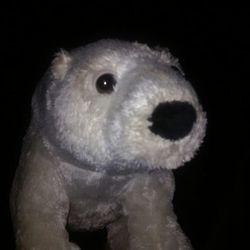 Trashbag of stuff animals