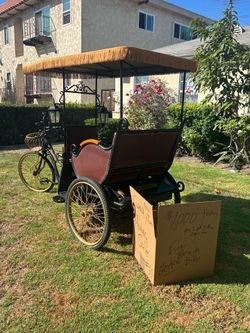 Electric pedestrian bike