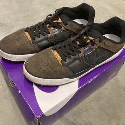 Nike Sb Ishod Weir Skateboardi Shoe Size 11 Skate 