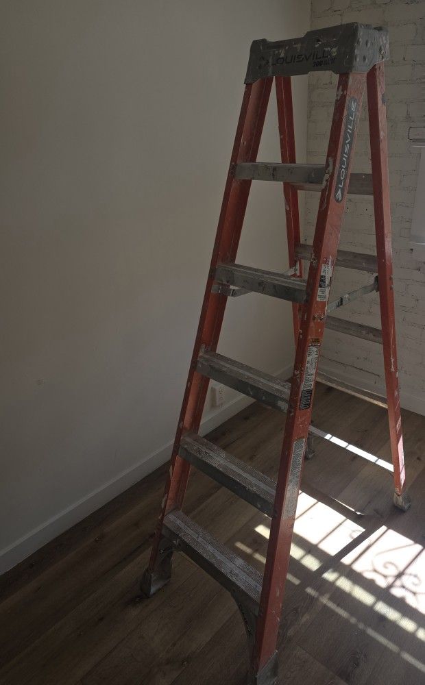 6 Foot Ladder