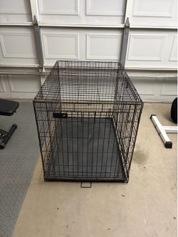 Large dog kennel