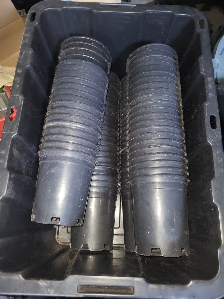 Bulk 300 1gal Heavy Duty Nursery Pots