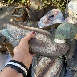 Duck Decoys   Set Of 5