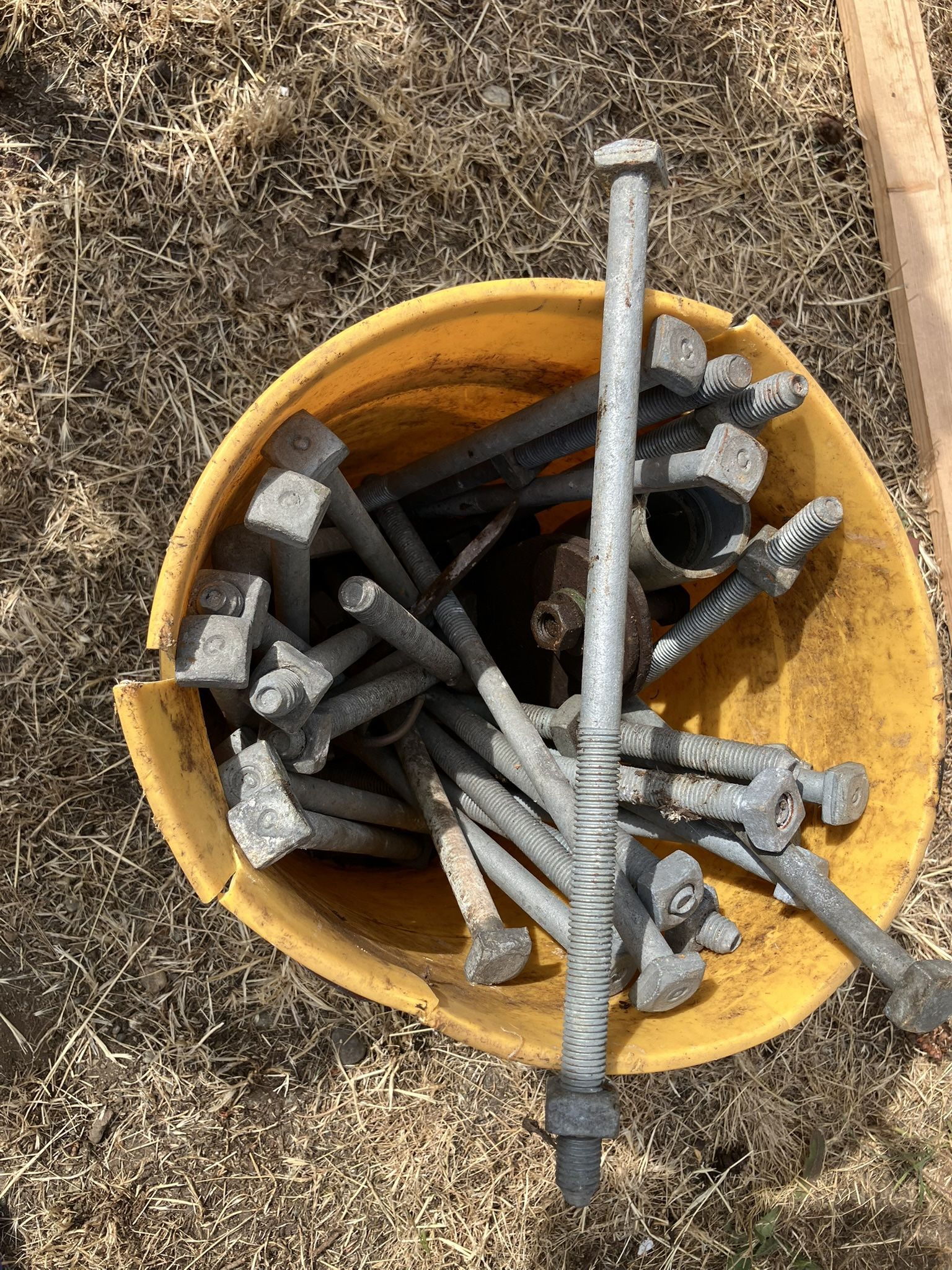Bucket Of 15”Galvanized Foundation Bolts