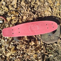 Mini Skateboard