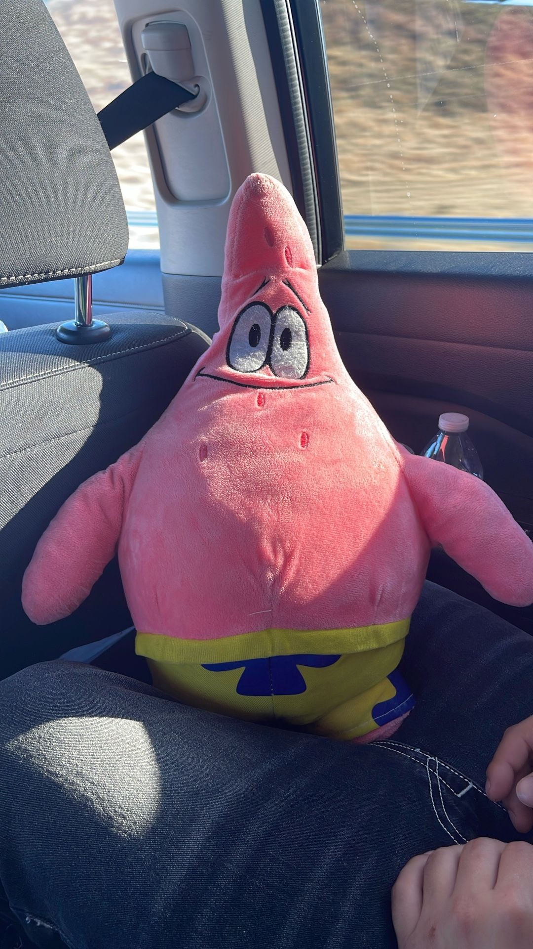 Patrick Star stuffed plushie.