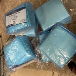 Disposable Absorption Pads