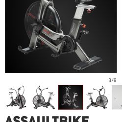 Assault Bike Elite 