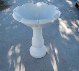 Bird bath /bebedero de pájaros 🐦