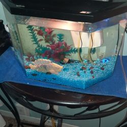 10 Gallon Fish Tank With Asceserys 