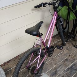 Pink Mountain Bike 