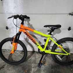 Kids 20" Nishiki Pueblo Mountain Bike