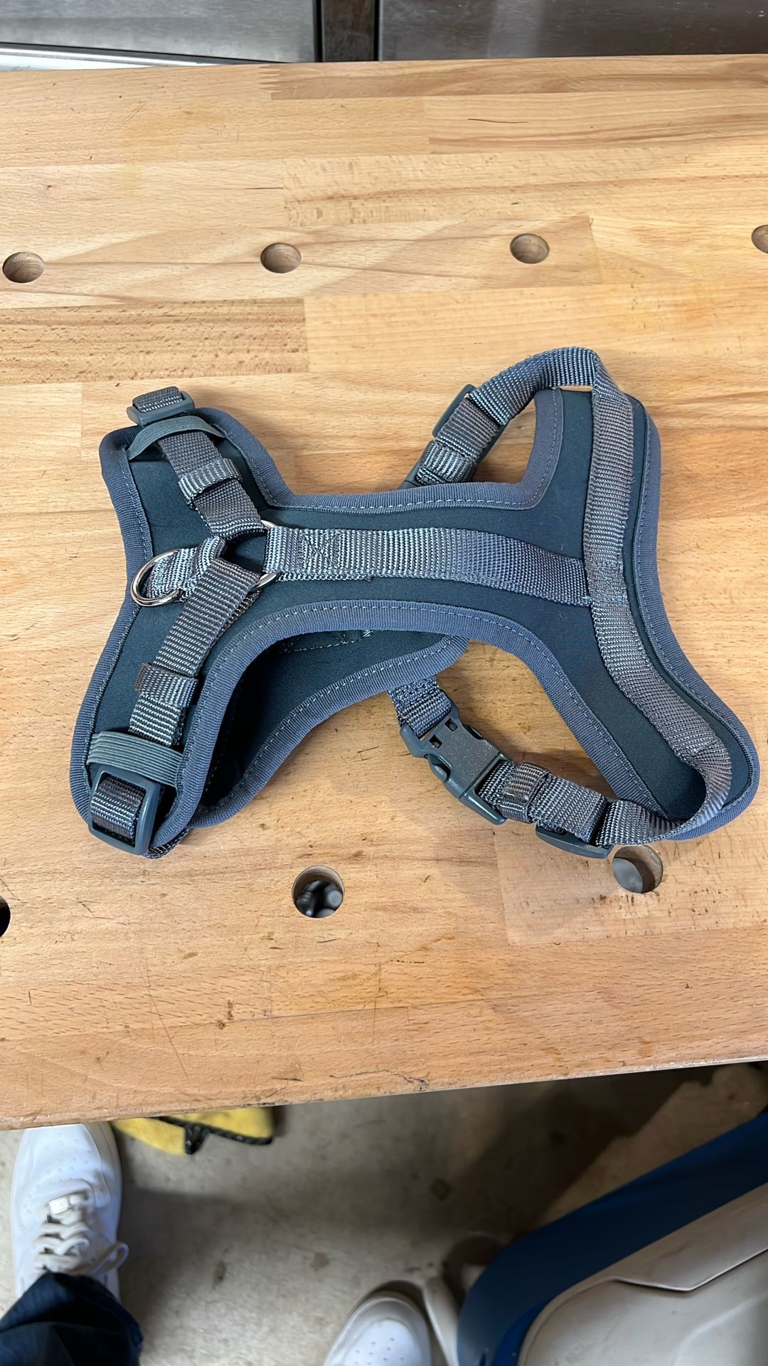 Small Dog Harness