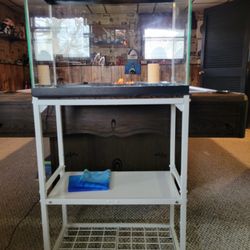 20 Gallon Fish Tank With Stand 
