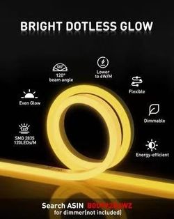 32.8 ft Warm White / Shine Decor LED Rope Lights AC 120V, Connectable & Cuttable Dotless 120LEDs/M Eco Neon Strip Lighting, ETL IP65 Waterproof & Wea