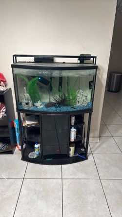 FREE 55 gal fish tank