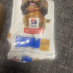 Dog Food 