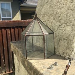 Glass Plant Growing Green House 