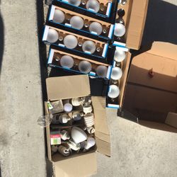 Light Bulbs