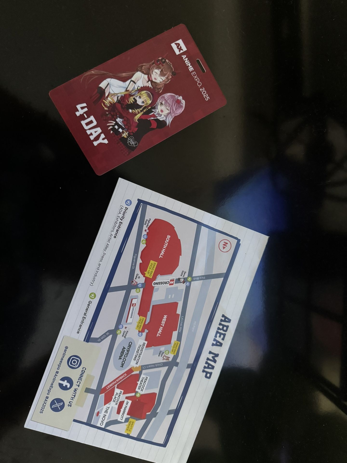 Anime Expo 2025 Badge