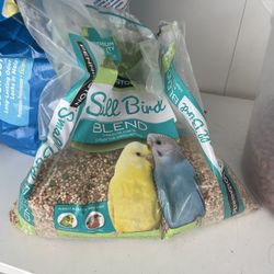 Free bird food