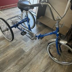 Adult Tricycle