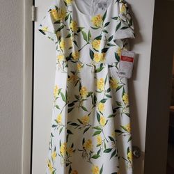 NWT Dress