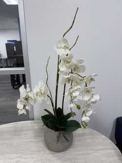 Faux Plants & Decorative Greenery – $10–$20