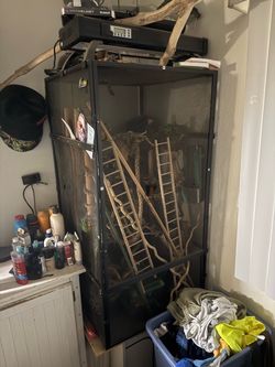 Reptile cage