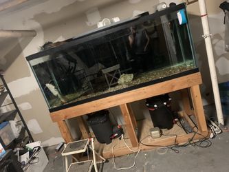Tank