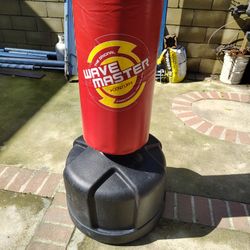 Century Wave Master Punching Bag