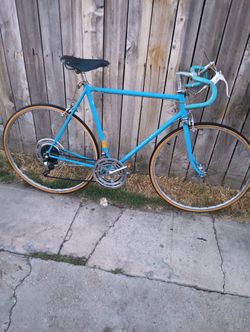 Schwinn Race Bike