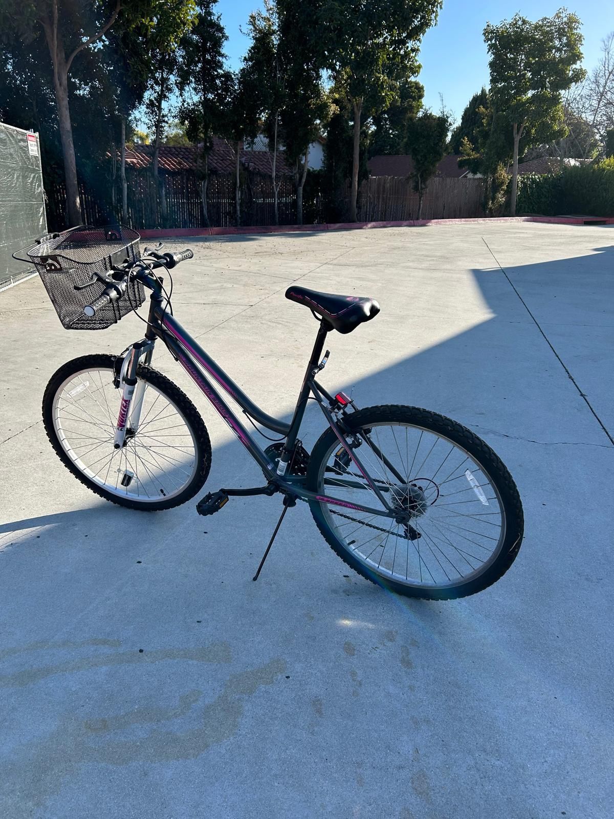 Women Bike With Folding And Floor Pump