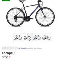 Giant Escape Hybrid Bike