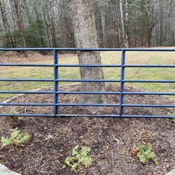 Two Metal Gates