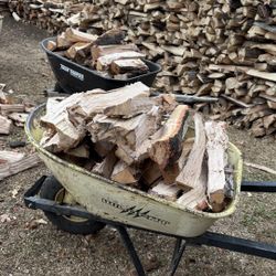 Oak Wood /hard Wood  / Firewood 