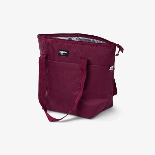 Igloo Cooler Bag