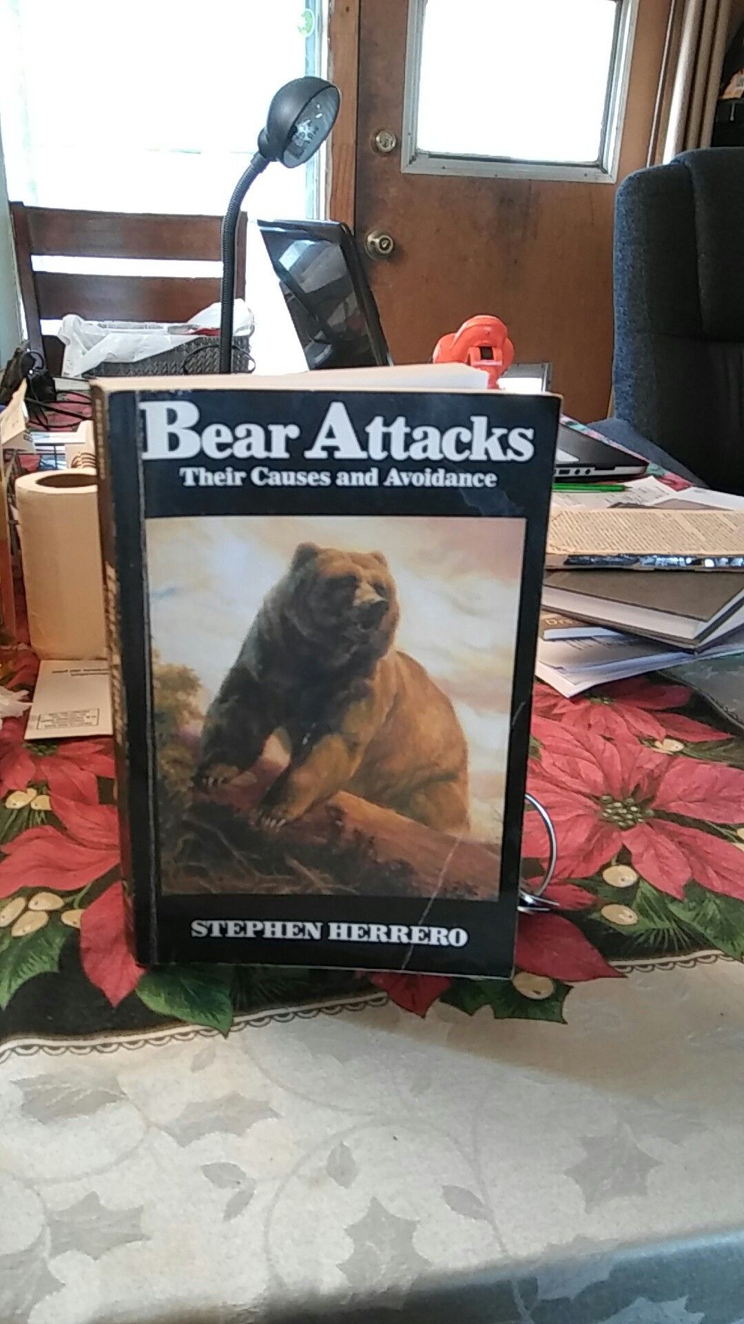 Bear attack