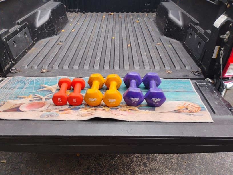 SET  OF  DUMBBELLS  (PAIRS OF)  :  5s   10s  12s 