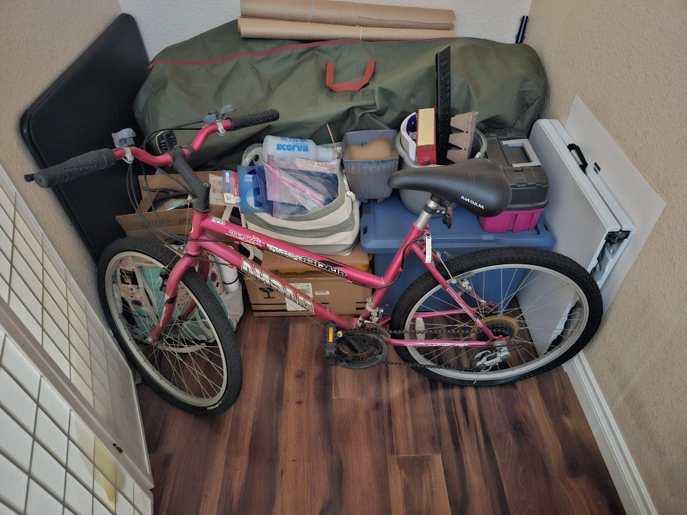 Pink Mountain Bike Bicycle