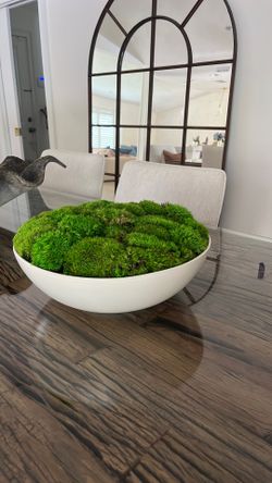 Real Live Moss Planter 