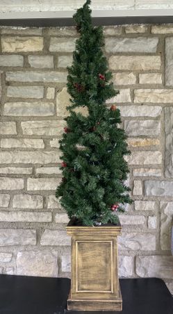 4ft. Pre-Lit Christmas Tree, —$25