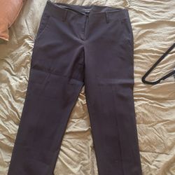 Theory Pants 