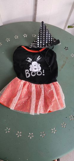 Cute Female Dog Peanuts Halloween Witch Outfit