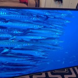 Vizio 65-inch 4k Ultra HD (UHD) Smart TV 