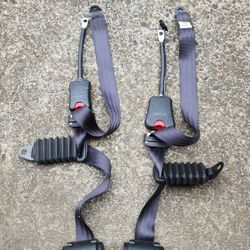 Kawasaki Teryx 1000 Seatbelts For Razor, OR Similar