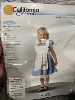 Alice In Wonderland Costume