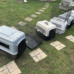 Dog Kennel 