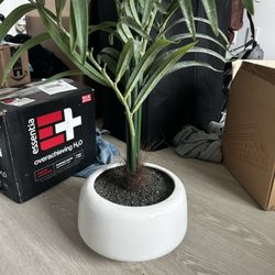 artificial Pot And Plant