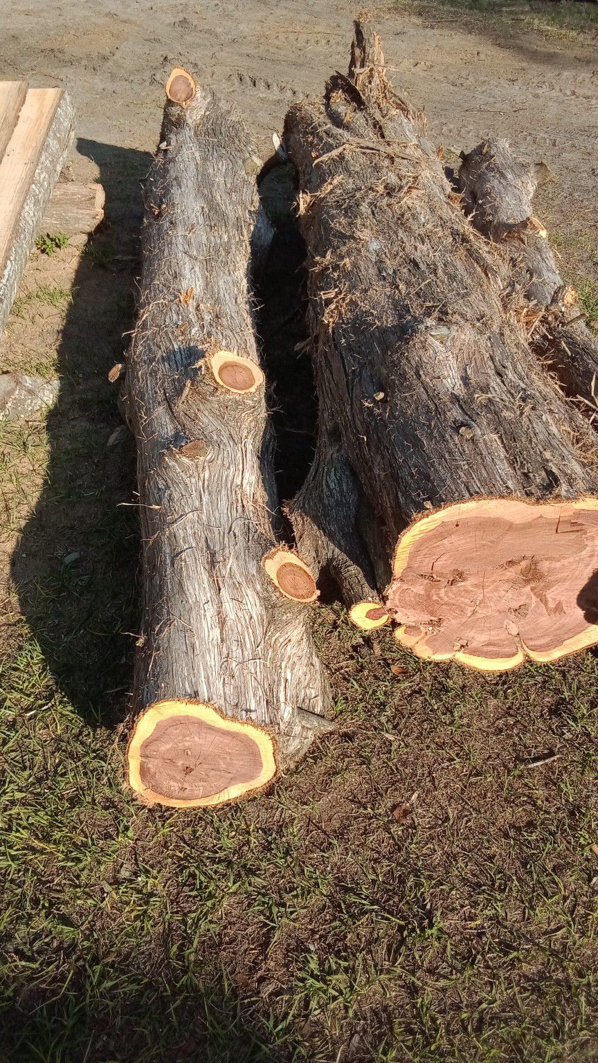 10ft9" Cedar Log